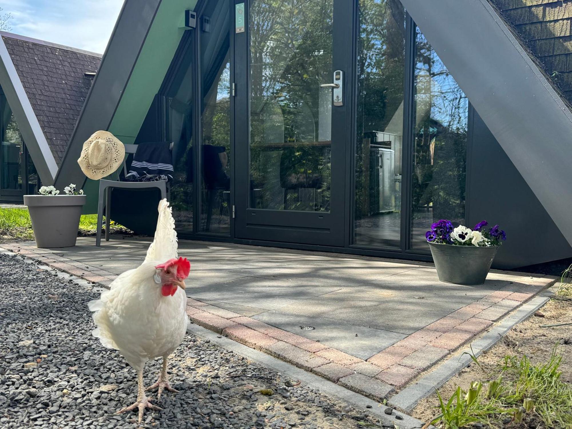Hotelhuisjes Medemblik Wieringerwerf Zewnętrze zdjęcie