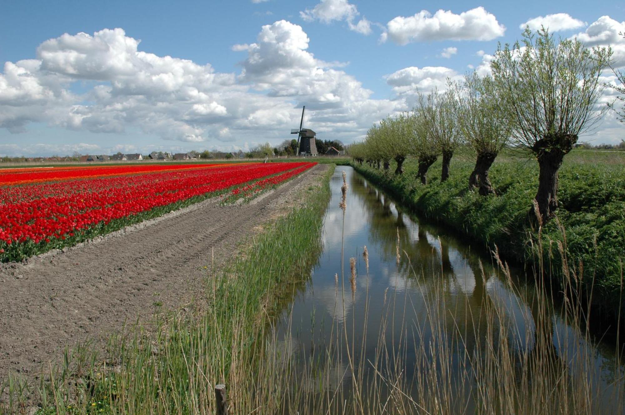 Hotelhuisjes Medemblik Wieringerwerf Zewnętrze zdjęcie